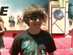 'G-Force' Premiere Stock Footage