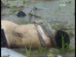 CAMBODIA: 66 DIE IN VIETNAM AIRLINES PLANE CRASH News Clip