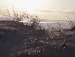 Tracking shot of a beach and tall grass. - Model Released - 1920x1080 - HD Stock Footage