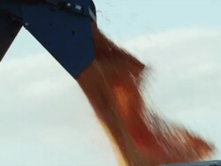 Close up auger dumps corn into a wagon. Stock Footage
