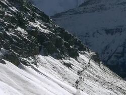 WS Yak caravan walking on snow covered mountain / High Himalayas, Upper Dolpo, Nepal   Stock Footage