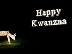 Happy Kwanzaa with Holiday Deer Stock Footage