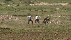 VOICED : Afghanistan's buried minerals a source of wealth and strife News Clip