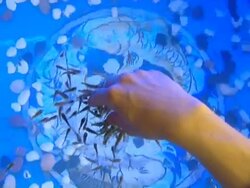 Cosmetic procedures. Stock Footage