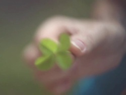 four leaves clover Stock Footage