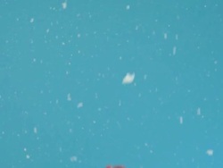 Happy Young Woman Santa helper blowing snow from her hands Stock Footage