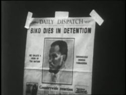 The coffin of civil rights activist, Steven Biko, lies on a wooden cart pulled by oxen after he dies while in detention in Pretoria, South Africa. News Clip