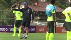 CLEAN : World Cup 2014: images of the Brazilian Selecao News Clip