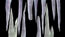 Icicles grow and mesh together, with luma matte Stock Footage