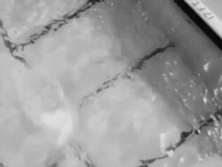 Professional American divers Stock Footage