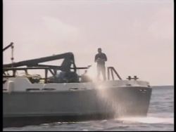 GALAPAGOS ISLANDS: OIL SPILL CLEAN UP News Clip