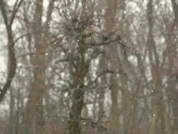 HD SUPER SLOW-MO: The First Snowflakes Stock Footage