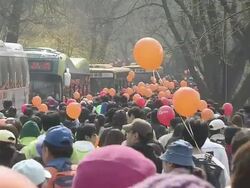 MS People walking at Namsan walking festival / Seoul, South Korea Stock Footage