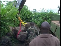 A conflict between elephants and humans as both populations expand  ++ GRAPHIC CONTENT+++ News Clip