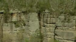 Trees and mosses grow on sheer, rocky cliffs. Stock Footage