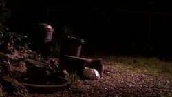 A raccoon crawls into a trash can. Stock Footage