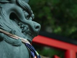 CU Guardian dog in temple / Kouya, Wakayama, Japan Stock Footage