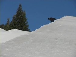 snowboarder riding large halfpipe Stock Footage