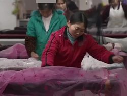 Textile workers in large textile factory News Clip