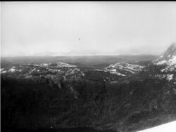 TASMANIAN TIGER - COMB News Clip