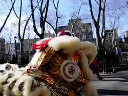 Chinese New Year 2013 New York Stock Footage