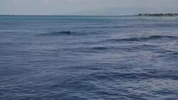 Surfers and swimmers off Waikiki Beach News Clip