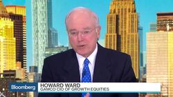 Gamco's Howard Ward: U.S. Economy Is Slow Like a Turtle News Clip
