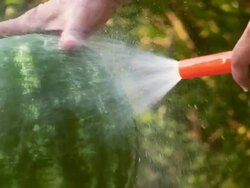 HD: Cooling watermelon closeup Stock Footage
