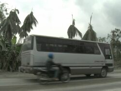 Vegetation destroyed by heavy Ashfall lines side of highway after eruption of Merapi volcano; Indonesia. 7 November 2010 / AUDIO Stock Footage