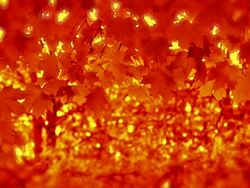 Absract fall background. Stock Footage