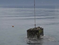 Crane pulls up and loads crate of oysters to boat Stock Footage