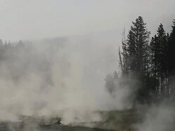 WS View of steam from hot springs rising at morning, UNESCO World Heritage Site, Firehole Lake Drive, Yellowstone National Park / Yellowstone, Wyoming, United States Stock Footage
