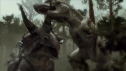 A animation depict the muscular structure involved in a A Tyrannosaurus Rex and a Triceratops fight. Stock Footage
