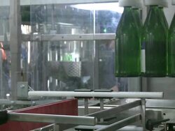 MS Champagne bottles on production line / Ayl, Rhineland-Palatinate, Germany Stock Footage