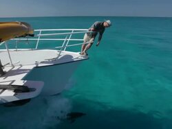 Doug Allan on bows, looking down at single Atlantic Spotted Dolphin bowriding  Stock Footage