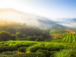 Beautiful sunshine at misty morning mountains north thailand Stock Footage