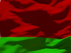 Belarus Flag Stock Footage