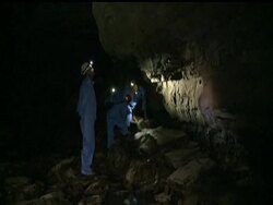 Up to 7 million bats have been wiped out in the U.S. over the last five years by a deadly disease that is rapidly spreading across the country. News Clip