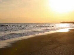 Golden sunset beach Stock Footage