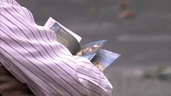 Tourists in York News Clip