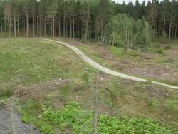 WS AERIAL ZI View of Swamplands / Frederiksborg, Denmark Stock Footage