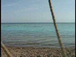 CU leading ropes, camel legs walk across shot, Egypt Stock Footage