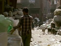 MS Shot of people at garbage habitation / Cairo, Egypt Stock Footage
