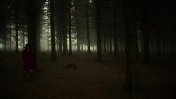 Woman walking through forest Stock Footage