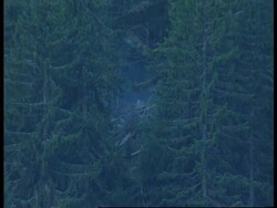 Bosnia - Helicopter crash aftermath News Clip