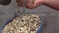 CLEAN : Nicaragua signs Paris climate agreement (FILE) News Clip