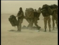 GWT: Chinook helicopter activity, Royal Marines in desert News Clip