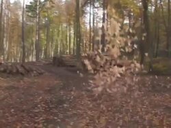 autumn animation 3d tracking text HD steadycam Stock Footage