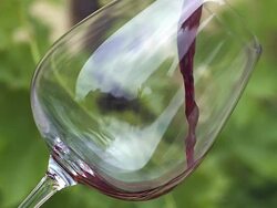 Red wine being poured into glass against green background, slow motion Stock Footage