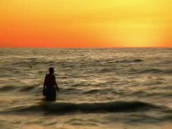 silhoettes and Sunset Stock Footage